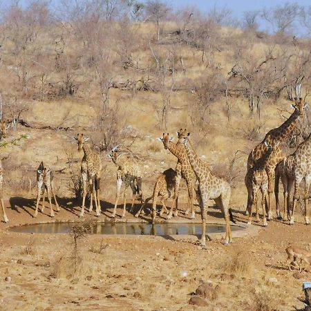 Mbizi Bush Lodge Grietjie Game Reserve 外观 照片