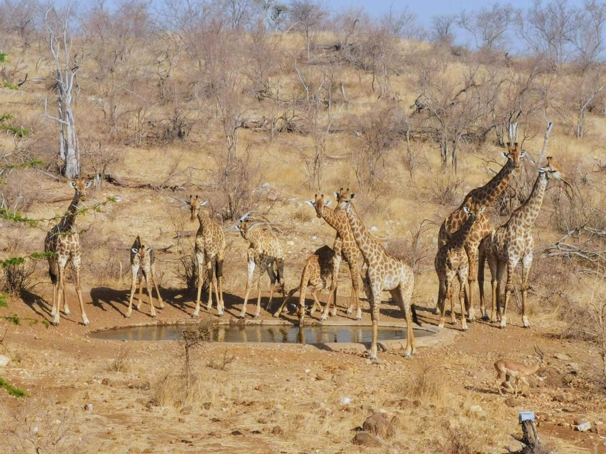 Mbizi Bush Lodge Grietjie Game Reserve 外观 照片