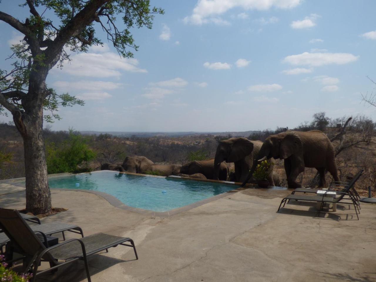 Mbizi Bush Lodge Grietjie Game Reserve 外观 照片