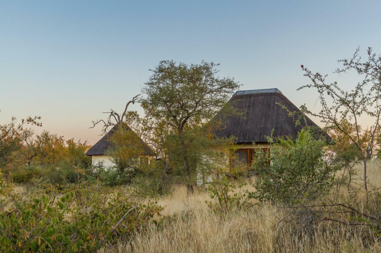 Mbizi Bush Lodge Grietjie Game Reserve 外观 照片