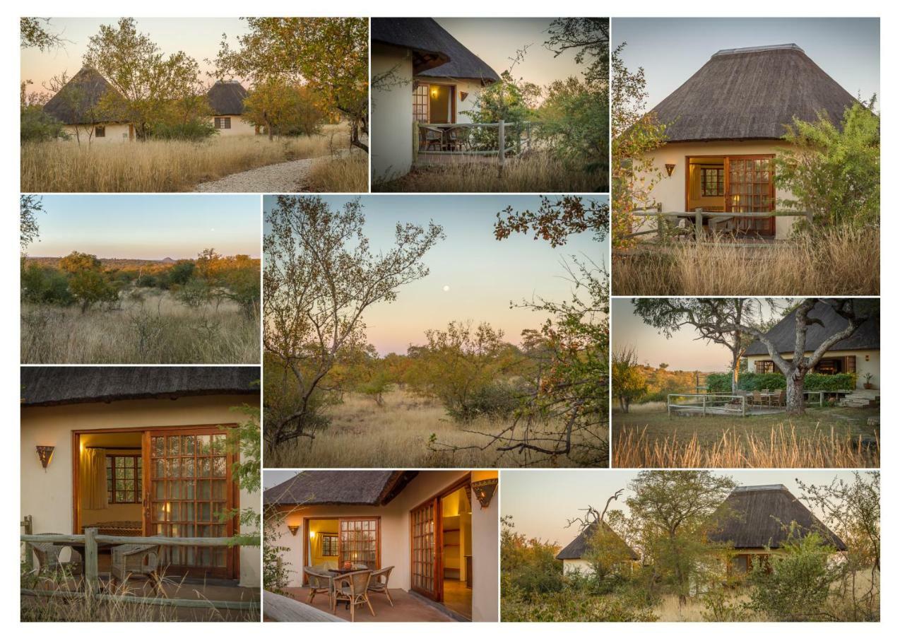 Mbizi Bush Lodge Grietjie Game Reserve 外观 照片